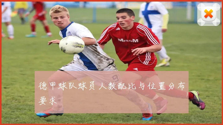 德甲球队球员人数配比与位置分布要求