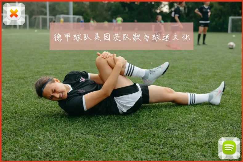 德甲球队美因茨队歌与球迷文化