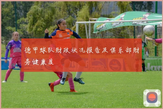 德甲球队财政状况报告及俱乐部财务健康度